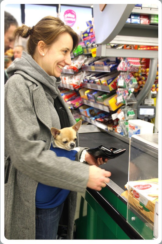 Dog carrier bag/ sling LileTink MORA