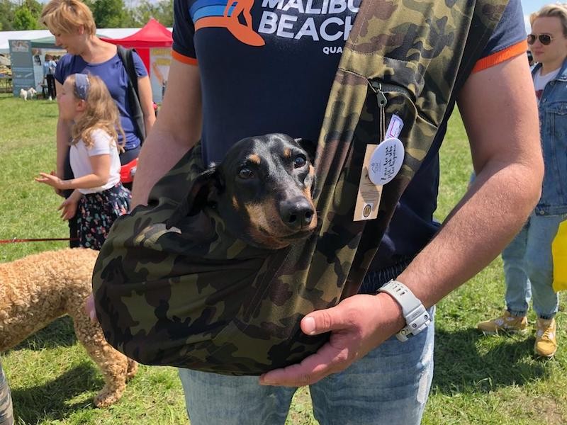 Dog carrier bag/ sling LileTink MORA