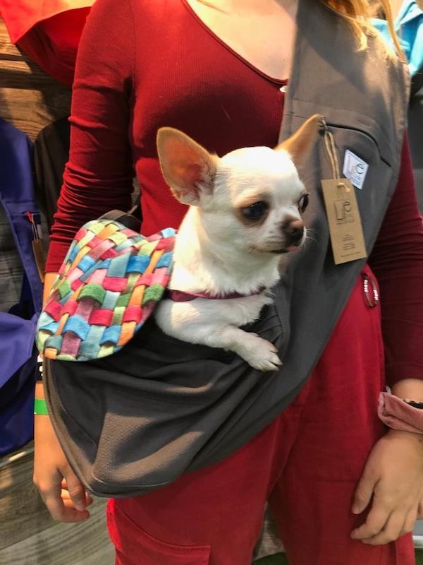 Dog carrier bag/ sling SPLOTI