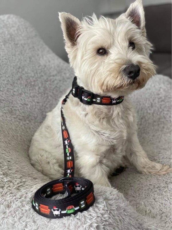 Smycz miejska Psijaciele |  PETZWELCOME