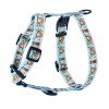 Harness for dog Leniwce