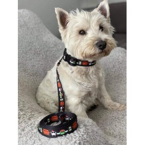 Dog collar Psijaciele