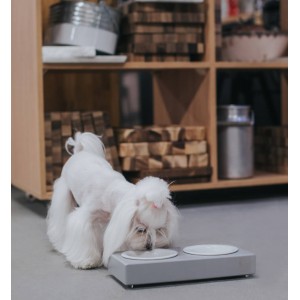 Elegancka miska dla psa DUO CERAMIC grafitowa Bowl and Bone | PETZWELCOME