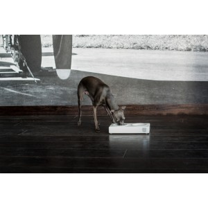 Elegancka miska dla psa SOLO CERAMIC grafitowa | Bowl and Bone Republic | PETZWELCOME