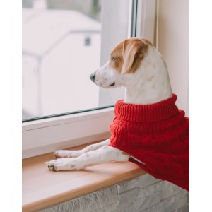 Dog sweater ASPEN blue | Bowl and Bone Republic | PETZWELCOME