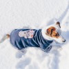Navy dog ​​sweatshirt Skull | My Star | PETZWELCOME