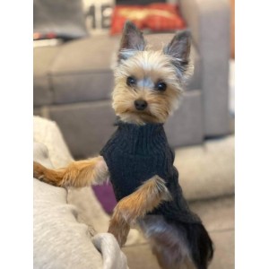 Dog sweater ASPEN gray | Bowl and Bone Republic | PETZWELCOME