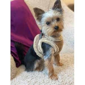 Dog harness YETI Brown | BB Republic | PETZWELCOME