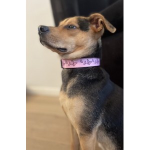 Klasyczna obroża Motylki