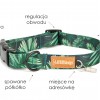 Collar for dog Stars | Lauren design | PETZWELCOME