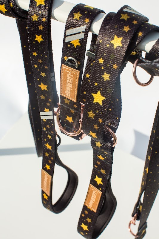 Collar for dog Stars | Lauren design | PETZWELCOME