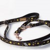 Adjustable leash Stars gold buckles | Lauren Design | PETZWELCOME