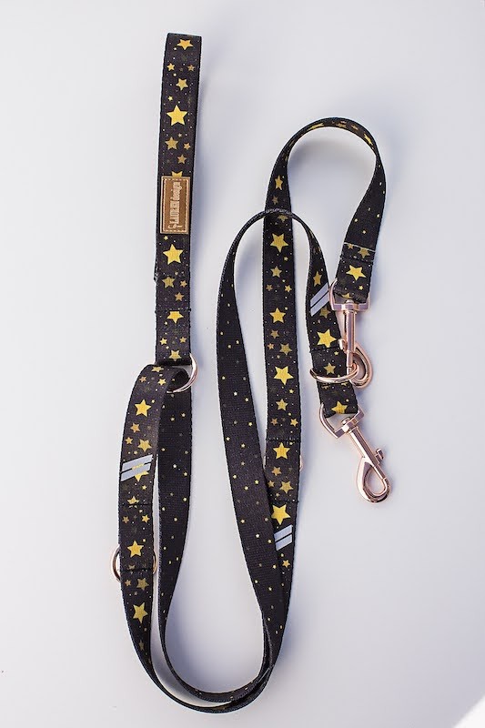 Adjustable leash Stars gold buckles | Lauren Design | PETZWELCOME