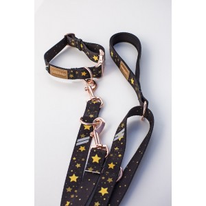 Adjustable leash Stars gold buckles | Lauren Design | PETZWELCOME