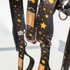 City leash Stars gold buckles | Lauren Design | PETZWELCOME