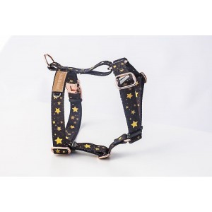 Guard dog harness Stars gold buckles