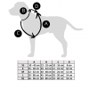 Harness for dog Leniwce