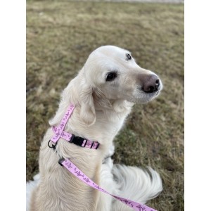 Szelki dla psa typu guard Motylki różowe | PETZWELCOME