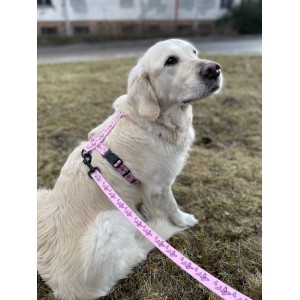 Szelki dla psa typu guard Motylki różowe | PETZWELCOME