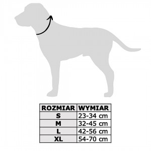 Red classic dog collar with a buckle  | PETZWELCOME