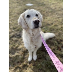 Smycz przepinana 3 m i 5m dla psa Motylki | PETZWELCOME