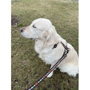 Smycz przepinana Psijaciele |  PETZWELCOME