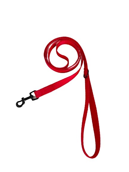 City leash red | PETZWELCOME
