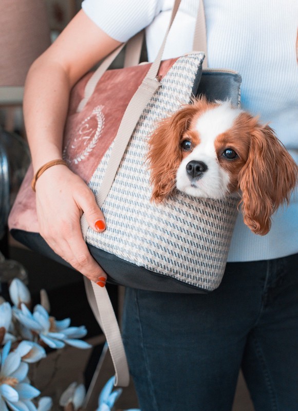 Dog/ cat carrier bag PORTO blue | Chloe'e Home | PETZWELCOME