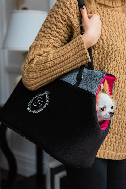 Torba dla psa/kota PARIS beżowa | Chloe'e Home | PETZWELCOME