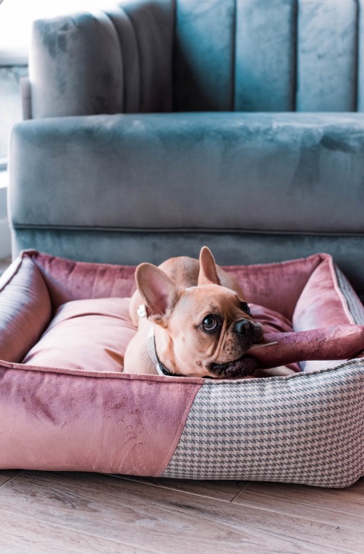 Legowisko PORTO różowe | CHLOE'S HOME | PETZWELCOME