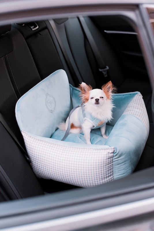 Dog car seat PORTO blue | Chloe'e Home | PETZWELCOME