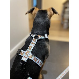 Szelki dla psa typu guard Leniwce | PETZWELCOME