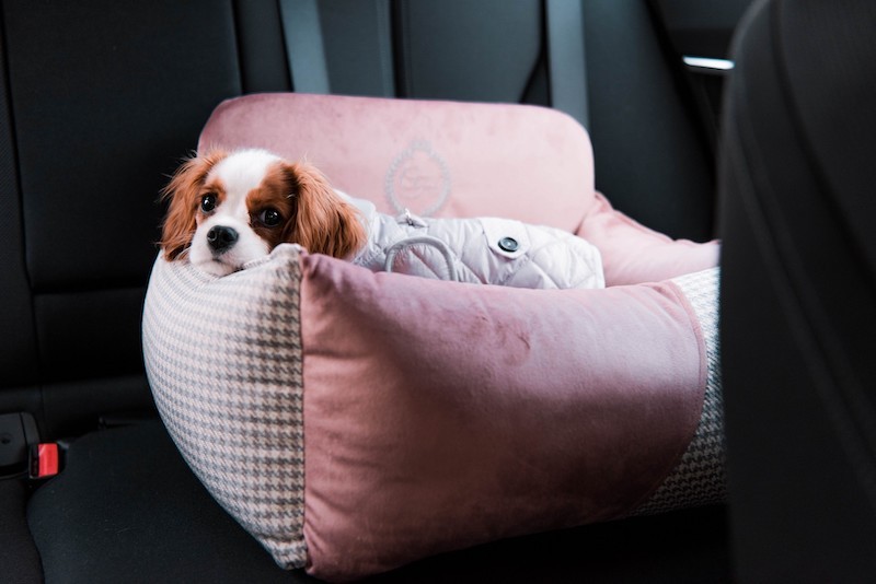 Dog car seat PORTO black | Chloe'e Home | PETZWELCOME