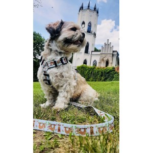 Adjustable leash 3m or 5m Sloths