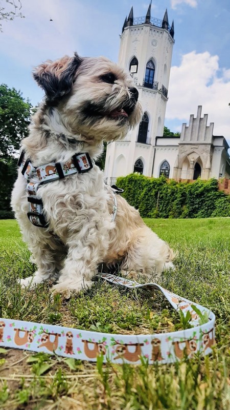 Adjustable leash 3m or 5m Sloths