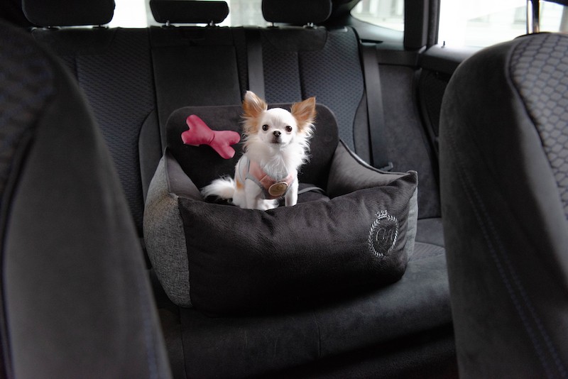 Dog car seat PARIS black | Chloe'e Home | PETZWELCOME