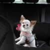 Dog car seat PARIS black | Chloe'e Home | PETZWELCOME