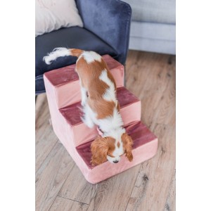 Dog stairs PARIS black