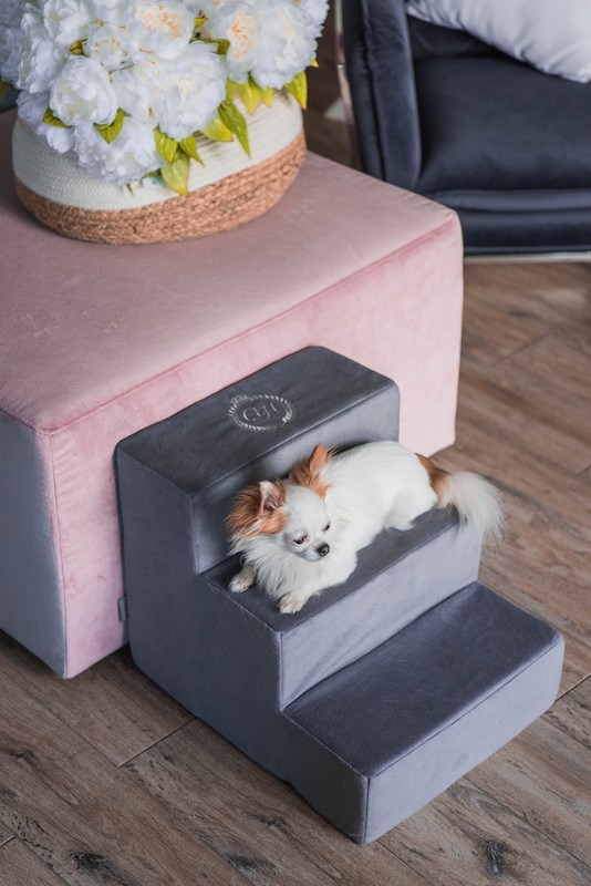 Schodki dla psa PARIS czarne | CHLOE'S HOME | PETZWELCOME