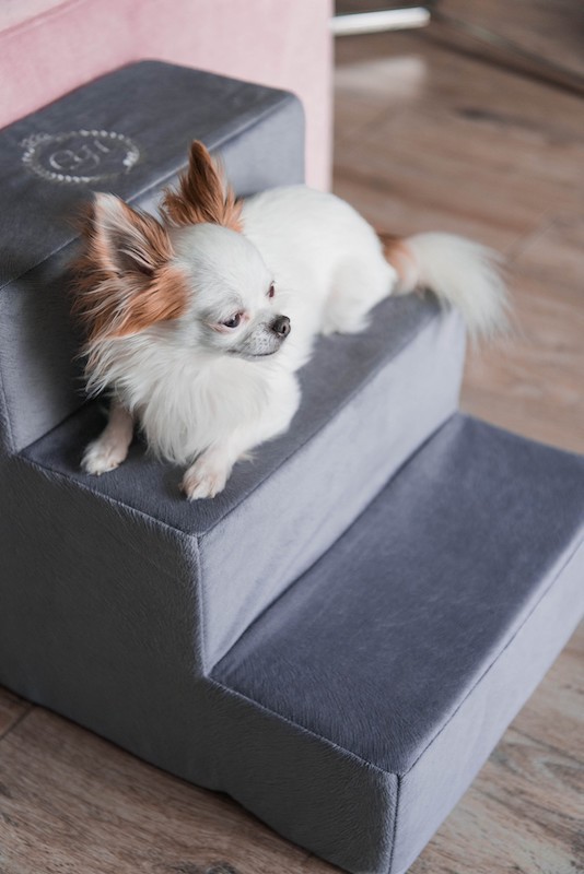 Schodki dla psa PARIS ecru | CHLOE'S HOME | PETZWELCOME