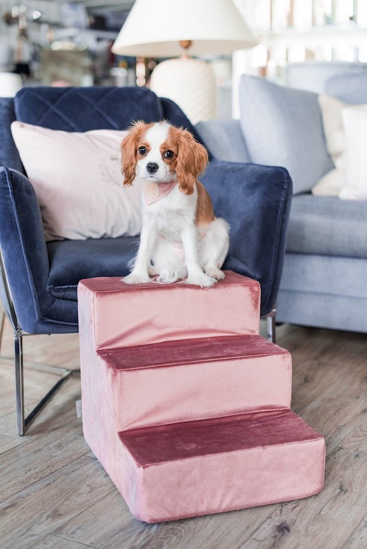 Schodki dla psa PARIS ecru | CHLOE'S HOME | PETZWELCOME