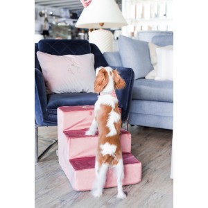 Schodki dla psa PARIS ecru | CHLOE'S HOME | PETZWELCOME