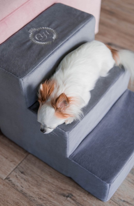 Schodki dla psa PARIS brązowe | CHLOE'S HOME | PETZWELCOME