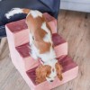 Dog stairs PARIS brown