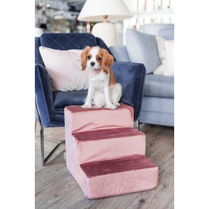 Dog stairs PARIS brown