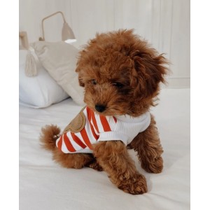 Dog sweatshirt Teddy red