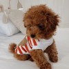 Dog sweatshirt Teddy red