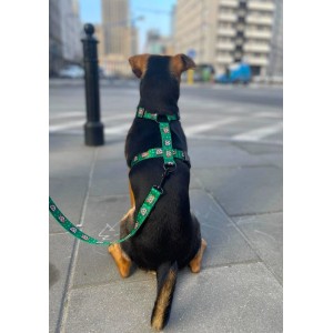 Dog guard harness Tiger | PETZWELCOME