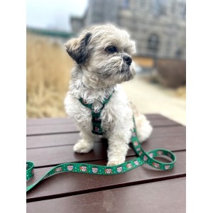 City leash Tiger | PETZWELCOME