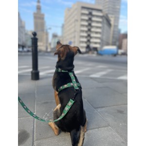 City leash Tiger | PETZWELCOME